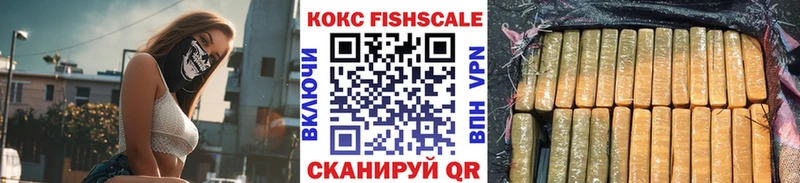 купить   Рубцовск  Кокаин Fish Scale 