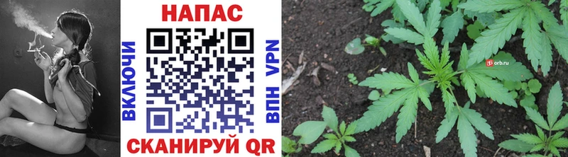 Шишки марихуана тримм  наркотики  Рубцовск 